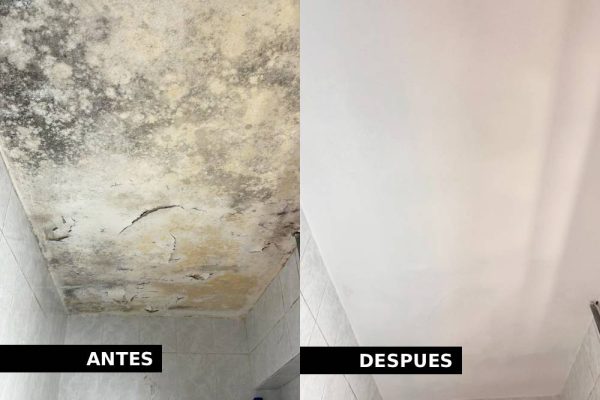 pintura-decoracion-joande proyecto-2 Proyecto 2